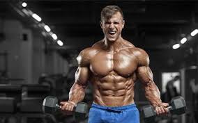 12-Week Workout Plan for Your Blog